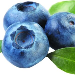 Blueberry