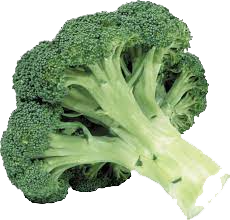 Brocoli spain
