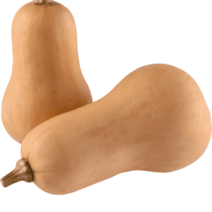 Butternut
