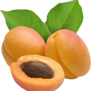 Appicot