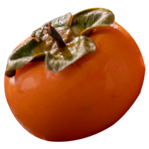 Persimmon fruit Spain