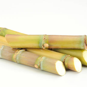 Sugar cane sticks